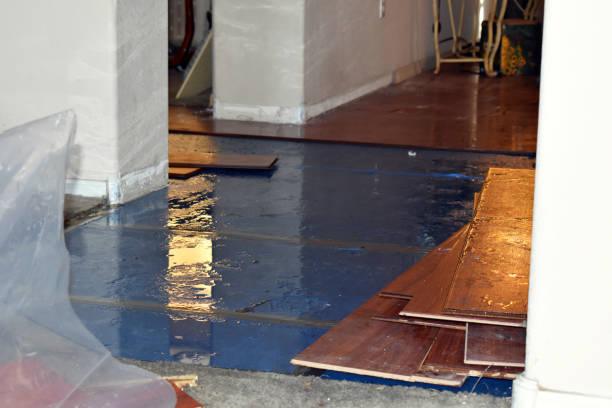 Professional Crawl Space Water Removal technician working in Haywood, VA